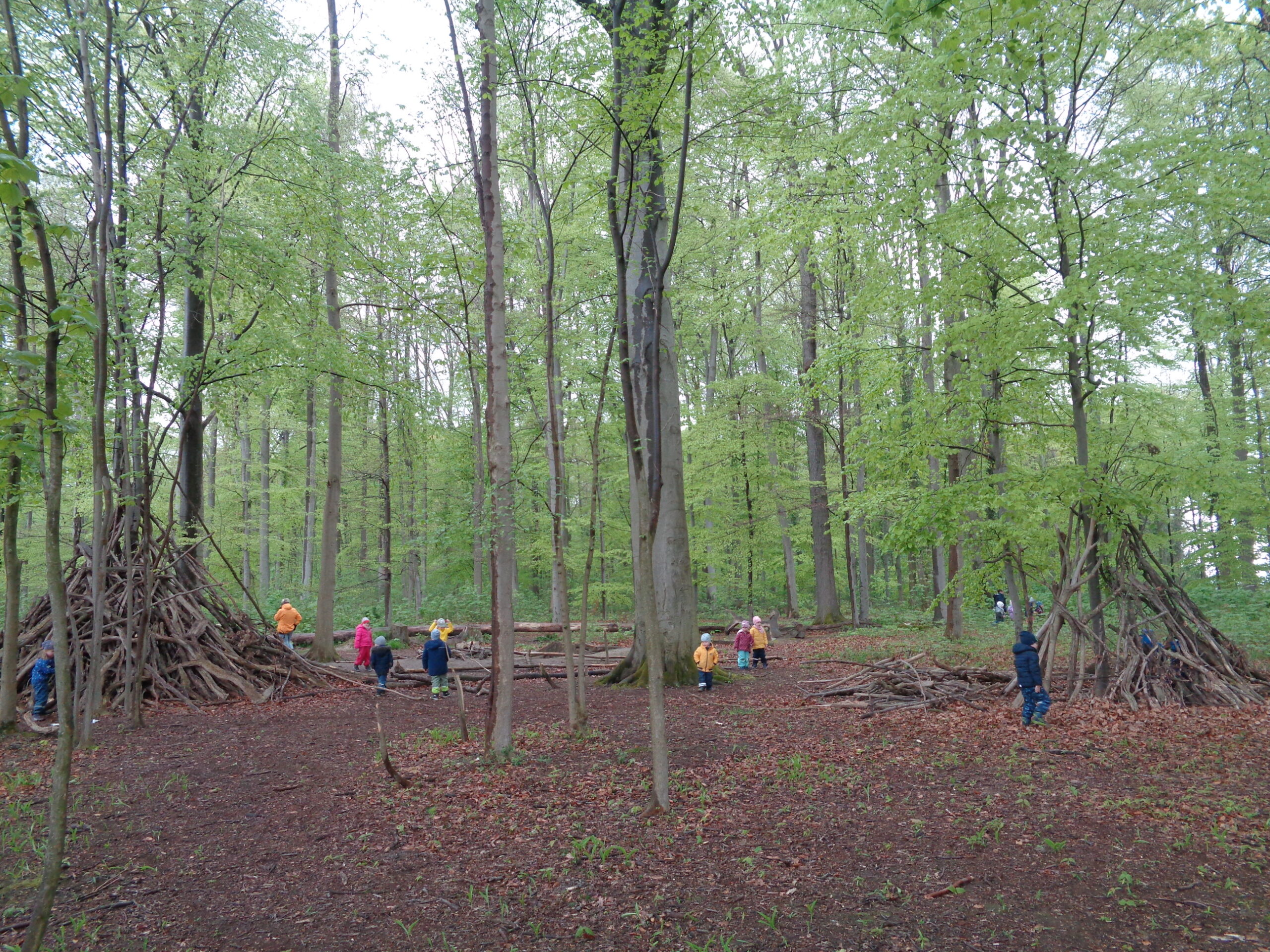 Waldtage_Mai_2023_Geseke